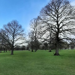 quan estava down broski tu tanracordas?