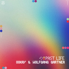 Ookay & Wolfgang Gartner - Past Life