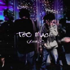 Too Much w/ Kanii (Remix)