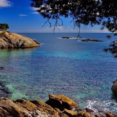 SET JOE MONTANA . CASA PACHA 2021