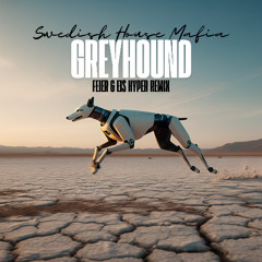 Swedish House Mafia - Greyhound (FEIER & EIS Hyper Techno Remix) 138 BPM FILTERED