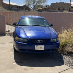 Bluemustang fet king dah veed