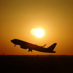 Tray Tables