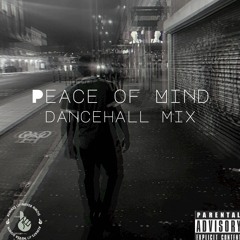 DJ SHIRV - PEACE OF MIND