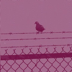 One Night Thing (Prod. Yuuta x jkei)