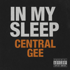 In My Sleep - 10:13:25, 1.20 PM
