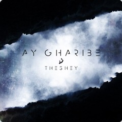 Ay Gharibe - Theshey