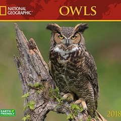 free EPUB 💕 National Geographic Owls 2018 Wall Calendar by  National Geographic Soci