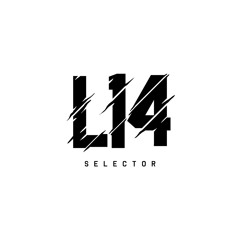 Selector L14 - The beginning