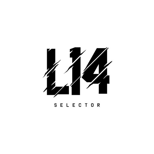 Selector L14 - The beginning