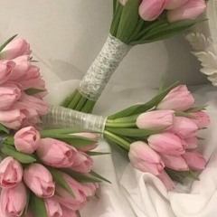 Regent's Park - bruno major / COVER