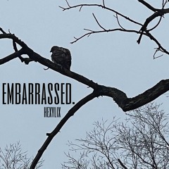 embarrassed (prod. @fleshfactoryy)