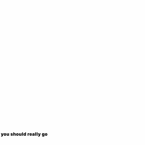 you should really go