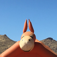 Back To The World w/ Another Triumph (13.11.2025)