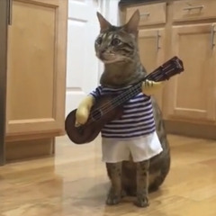 now i play guitar