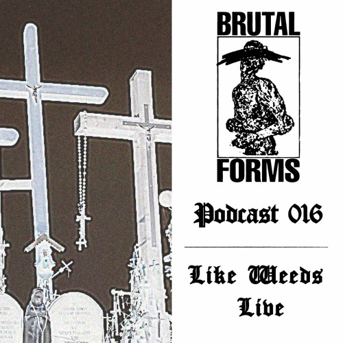 Podcast 016 - Like Weeds Live x Brutal Forms