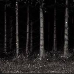 Black forest