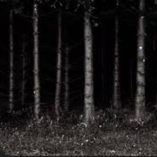 Black forest