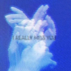 LLR LOLER - I REALLY MISS YOU