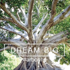 2020 - 02 - 24 - #355 2/24/20 Team Connect Call recording "Leaders Dream Big!"