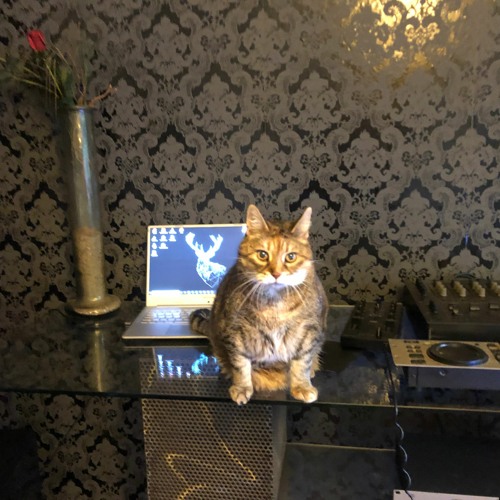 Dirty Old Men - Lässt Die Katz Aus Den Sack Part I - 128 Bpm