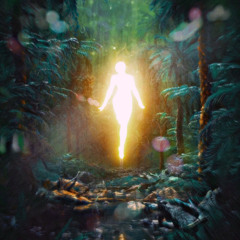 Music taste II ⚡️