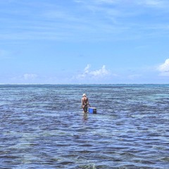 in Passing tides 01 ~ slyn ~ (15.04.24)
