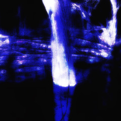 duality