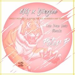 DJ Peter P - SweetHonestyXYourheartformynumber(MGXYinglee Mashup RMX)