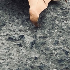 Sorrowful Fall