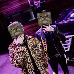 MORGENSHTER & Элджей - Кит, ты маму мав? «Кіт, ти маму мав?» ( СЛИВ ТРЕКА, 2020 )