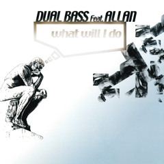 What Will I Do (K-Psula Remix) [feat. Allan]