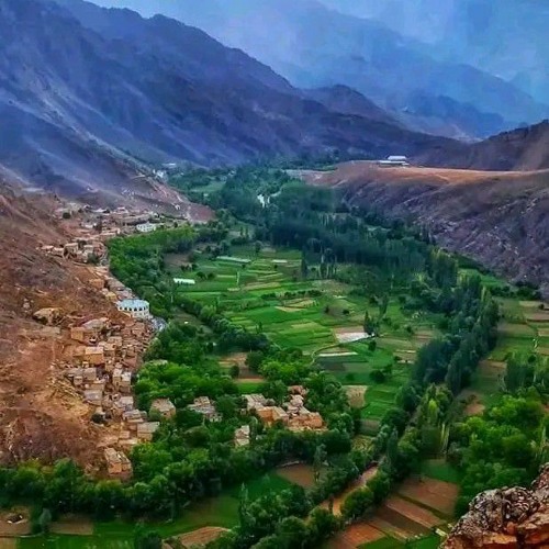 Oh_Son._Why_The_journey_nasheed