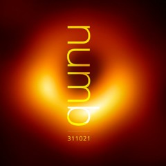 numb311021
