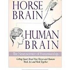 [PDF BOOK] Horse Brain Human Brain: The Neuroscience of Horsemanship READ FREE