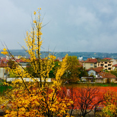 Есенен вятър