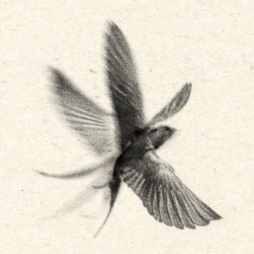 flock 0: thorn [prod. LickOwens]