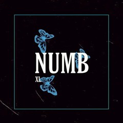 XL NUMB