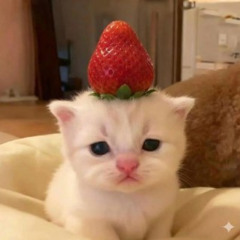 Dj MISHKA - Lesson Train