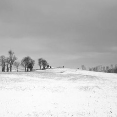 snow forest - a single flower blooms/white surf style six ( lmaooooo remix)