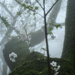 deja vu? prod.jreampierre