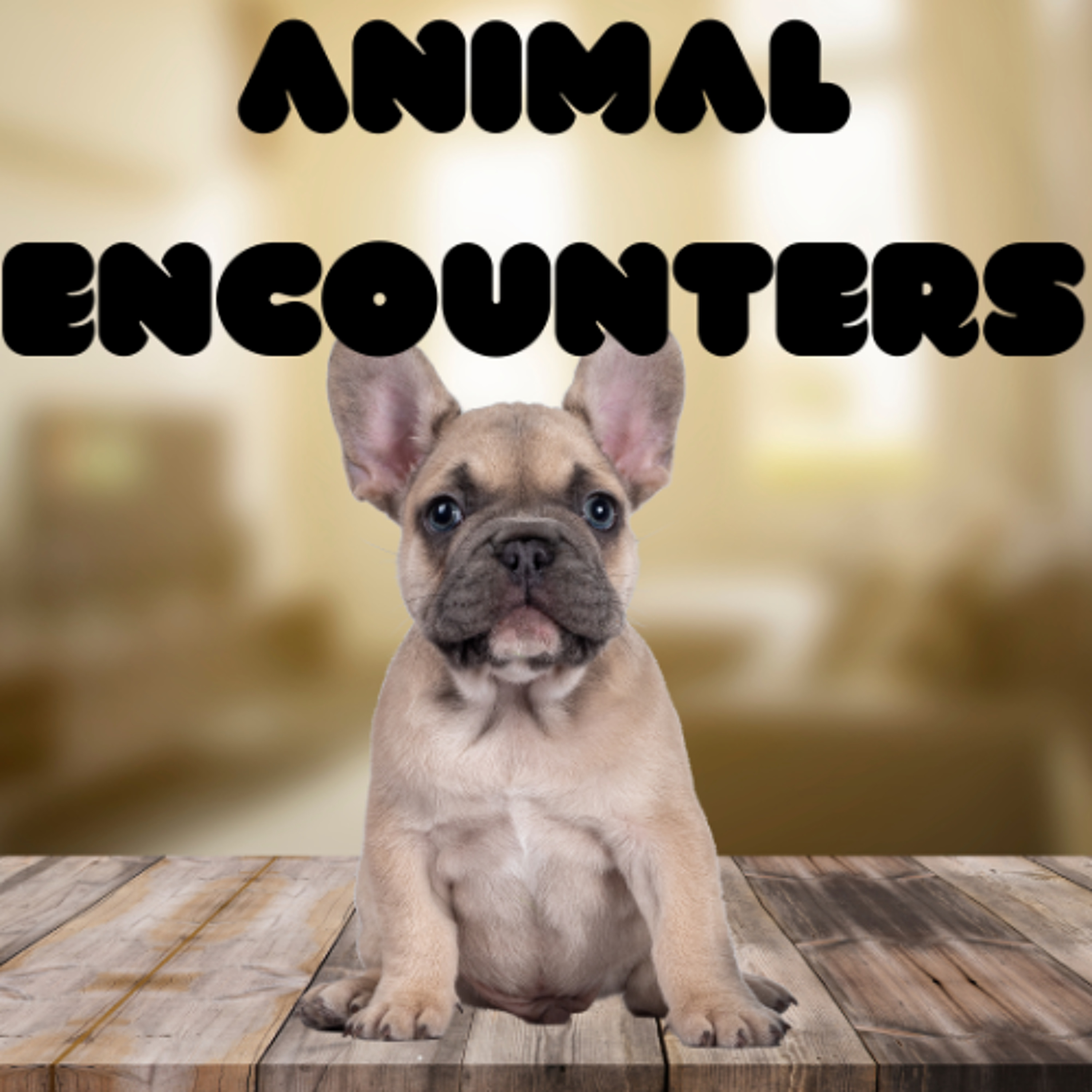 Animal Encounters - Hudson, Xzavier, Connor and Jacob - Xavier College