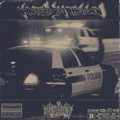 Wanted by the law