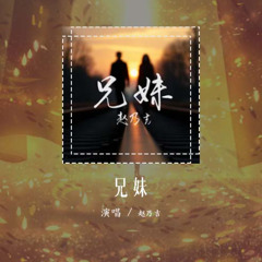 赵乃吉 - 兄妹「就让我们虚伪 有感情 别浪费」【動態歌詞/Lyrics Video】#赵乃吉 #兄妹 #動態歌詞