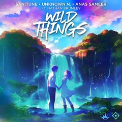 Sanitune, Unknown N. & Anas Sameer - Wild Things (feat. Nathan Brumley)