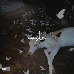 waste [old]