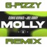 Joel Corry - MOLLY (G-Pizzy Remix)