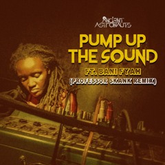 Pump Up The Sound Feat. Bani Fyah (Professor Skank Remix)
