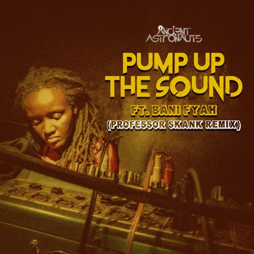 Pump Up The Sound Feat. Bani Fyah (Professor Skank Remix)