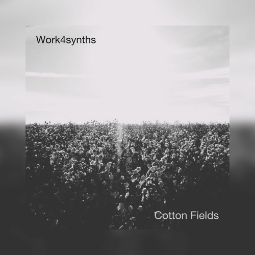 Cotton Fields